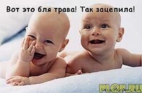 Саяногорск Инфо - Присоединённое изображение