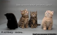 Саяногорск Инфо - Присоединённое изображение
