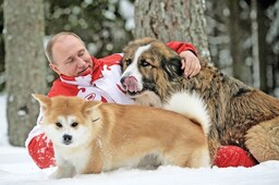 Путин поручил ввести учет домашних животных