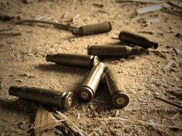 В Австрии неизвестный открыл огонь по толпе во время концерта