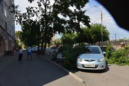 На иномарки в центре Абакана рухнул тополь