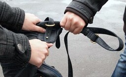 В Саяногорске полицейские задержали подозреваемого в совершении грабежа