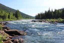 В Хакасии принимаются меры для охраны водных объектов
