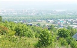 Суд Саяногорска разрешит проблемы с несуществующими садовыми обществами