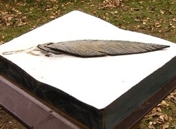 В Саяногорске открыли аллею имени А. Карнаухова