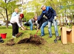 Саяногорцы превращают свой город в город сад!
