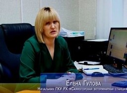 Сотрудники ветклиники Саяногорска не выпускают из рук тревожные кнопки