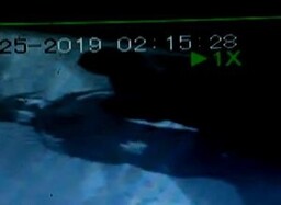 Полиция Саяногорска просит помощи в розыске серийного вора