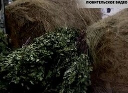 Охотники Саяногорска встали на защиту диких животных
