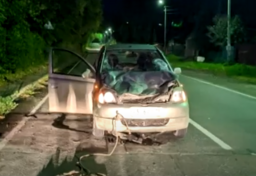 В Майна столкнулись автомобиль и корова