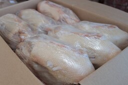 Сотрудники уголовного розыска Саяногорска раскрыли кражу 55 тушек уток