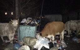 Саяногорцы принесли мусор к зданию мэрии и прокуратуры