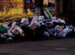 Справится ли регоператор с мусором?