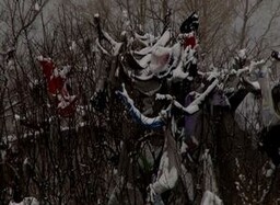 ОНФ Хакасии взял на контроль проблему с замусориванием КСРЗ в Саяногорске