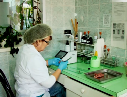 Саяногорцев консультируют по качеству мясной и рыбной продукции