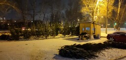 Абаканское парковое хозяйство принимает на переработку новогодние пихты и ели