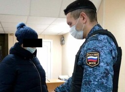 Жительница Саяногорска отправилась в колонию за долг по алиментам