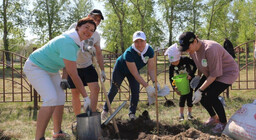 150 фруктовых деревьев высадили в Парке Победы Саяногорска