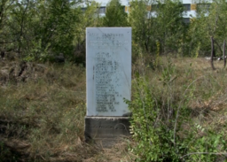 В Саяногорске нашли забытую аллею памяти