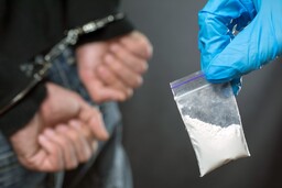 В Хакасии девушку-курьера приговорили к шести годам лишения свободы
