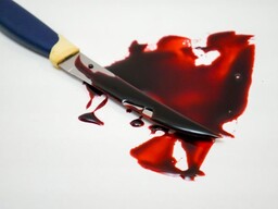 Житель Хакасии после кровавой расправы над экс-возлюбленной свёл счёты с жизнью
