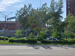 РУСАЛ озеленяет и Саяногорск, и промплощадку