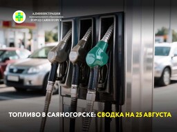 Топливо в Саяногорске: сводка на 25 августа