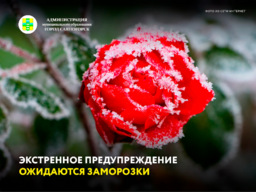 Экстренное предупреждение от 01.09.2026 (заморозки)