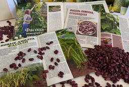 Съедобное мероприятие пройдёт в главной библиотеке Хакасии