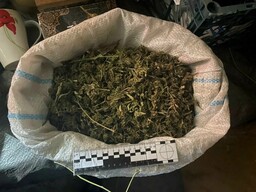 Более 2 килограммов марихуаны обнаружили у жителя Черногорска