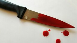 В убийстве супруга обвиняется жительница Абакана