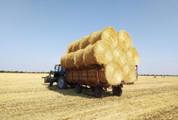Жителям Хакасии напомнили о правилах пожарной безопасности