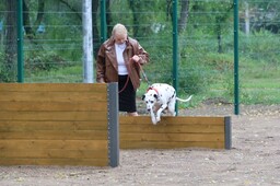 Площадка для дрессировки собак открыта в одном из парков Абакана