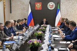 Выход медведей к населенным пунктам обсудили на заседании правительства Хакасии