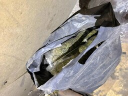 Расфасованную марихуану обнаружили в доме жителя Хакасии