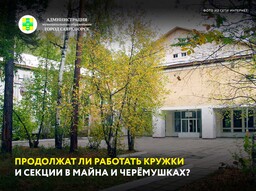 Продолжат ли работать кружки и секции в Майна и Черёмушках?