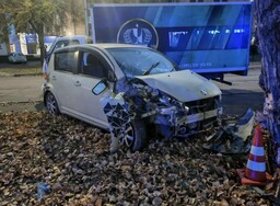 В Хакасии автомобиль с детьми врезался в дерево