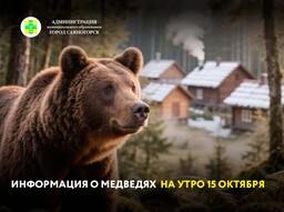Информация о медведях на утро 15 октября