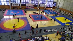 Фестиваль спортивных единоборств пройдёт в Абакане
