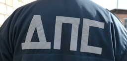 В Хакасии участились ДТП по причине выхода сельхозживотных на проезжую часть