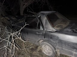 В Таштыпском районе иномарка врезалась в лошадь, а затем в дерево