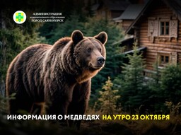 Информация о медведях на утро 23 октября