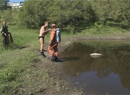 Саяногорск готовится к купальному сезону