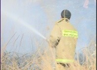 Сегодня утром в Черемушках полностью сгорел дачный домик