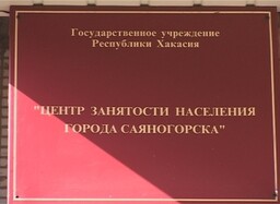 Саяногорцы выбирают самозанятость