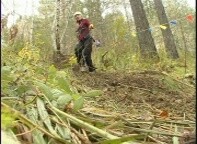 В Саяногорске пройдет школьный туристический слет
