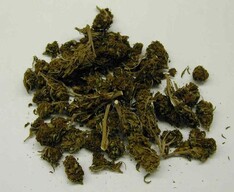 Девушка из Саяногорска везла в чемодане почти килограмм наркотиков