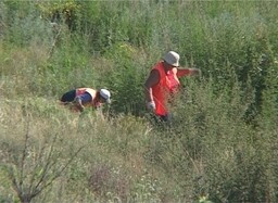 Жительница Саяногорска ответить за марихуану