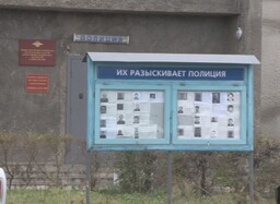 Саяногорца, укравшего бензопилу, сдала видеокамера