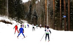 В Черемушках пройдет "Энергия лыжни"